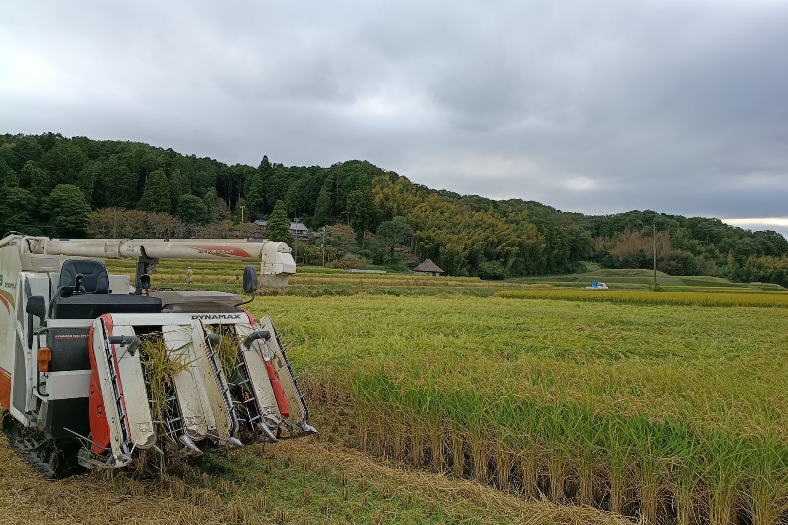 特A地区の里山風景（仮画像）