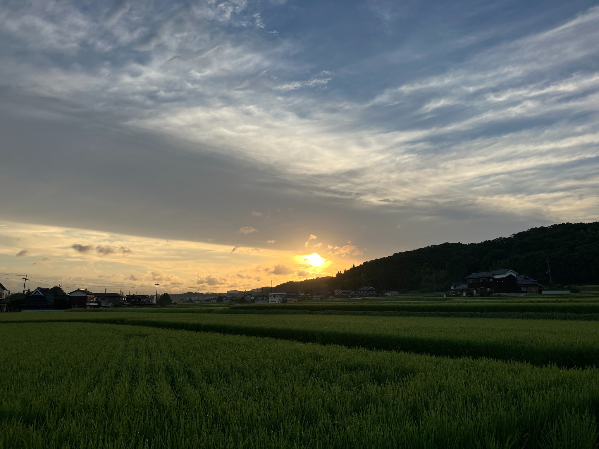 夕暮れの田んぼと農機(仮画像)